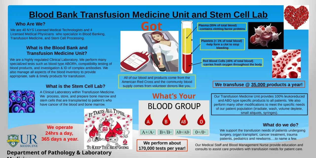 PPT-Blood Bank Transfusion