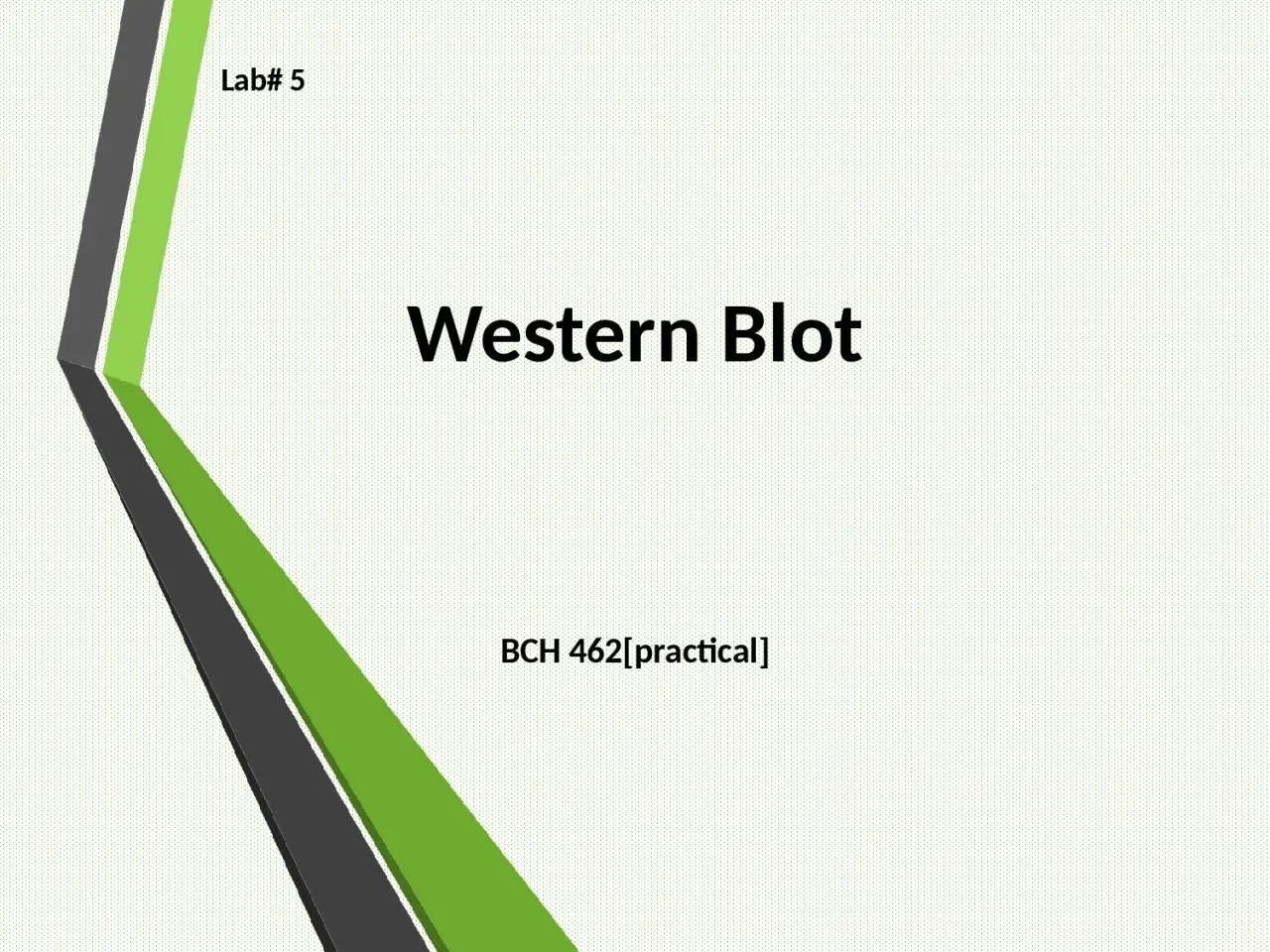 PPT-Western Blot BCH 462[practical]