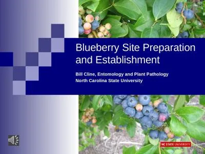 Blueberry Site Preparation and Establishment