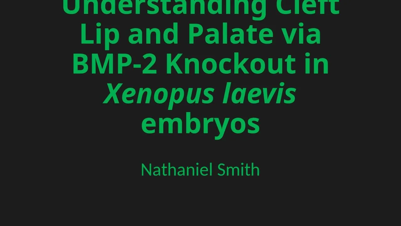 PPT-Understanding Cleft Lip and Palate via