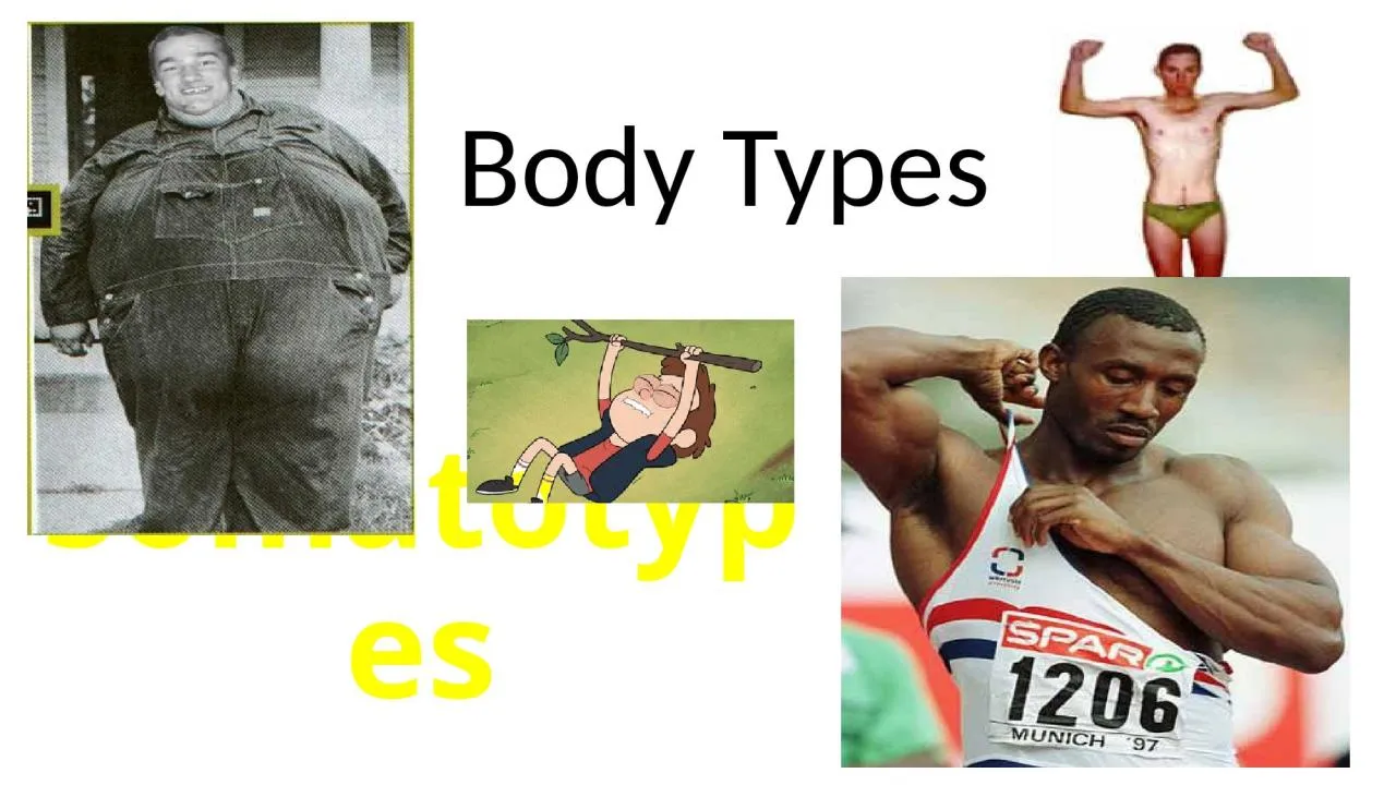 PPT-Somatotypes Body Types Body Type