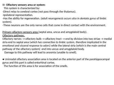 III-  Olfactory sensory area or system