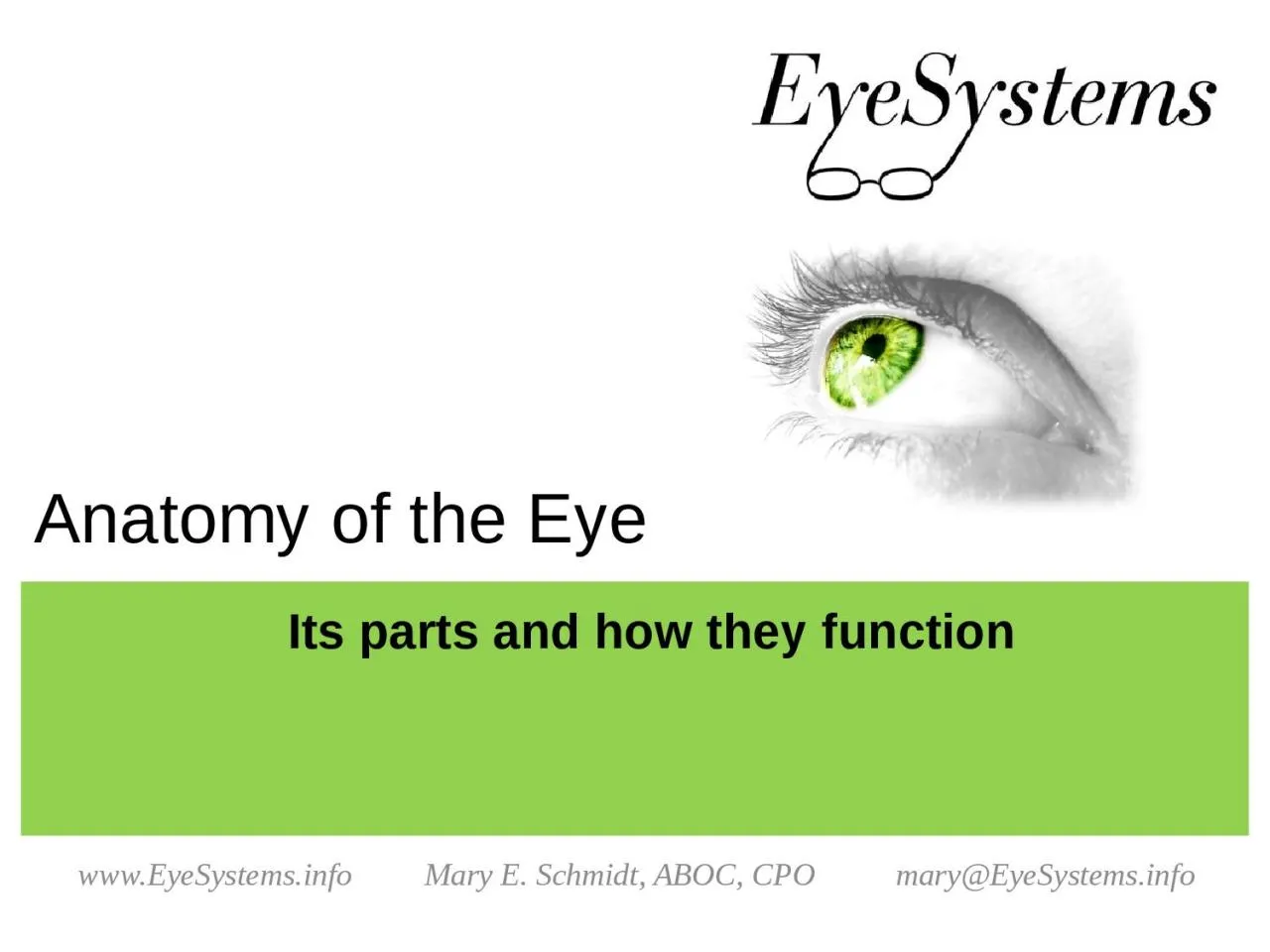 PPT-Its parts and how they function