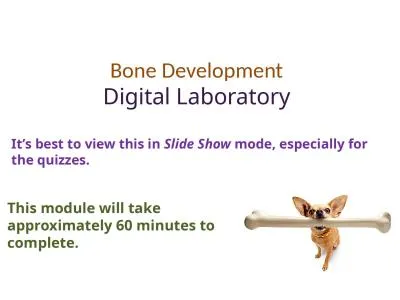 Bone Development Digital Laboratory