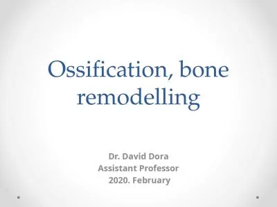 Ossification, bone remodelling