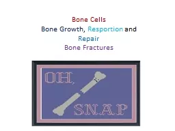 Bone Cells Bone Growth ,