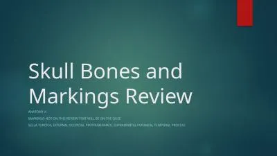 Skull Bones and Markings Review