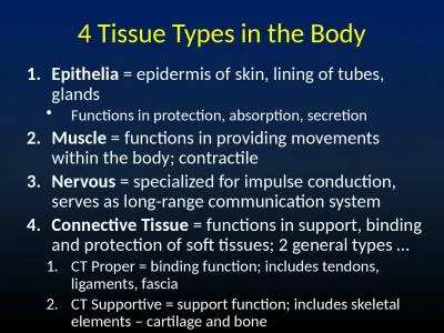 4 Tissue Types in the Body