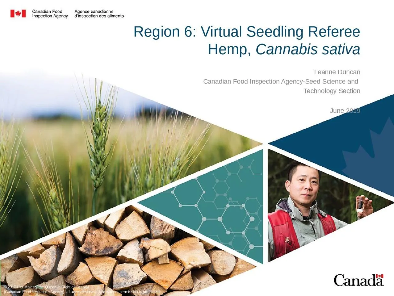 PPT-Region 6: Virtual Seedling Referee