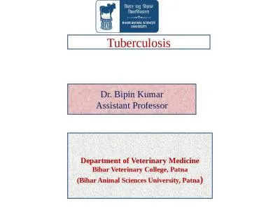 T uberculosis Dr.  Bipin