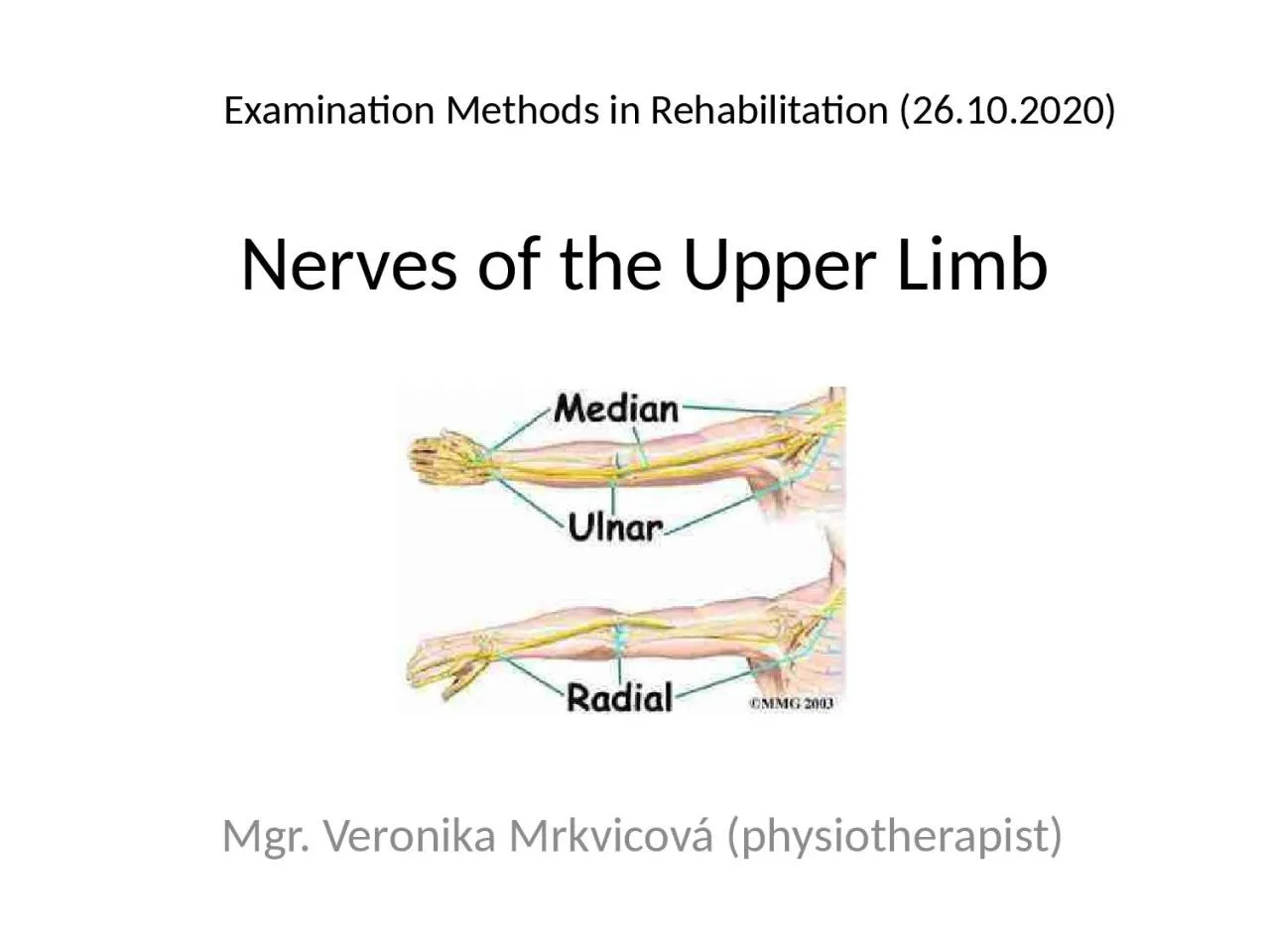 PPT-Nerves of the Upper