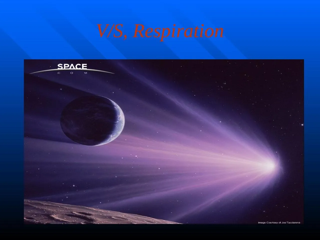 PPT-V/S, Respiration Function of the Lungs