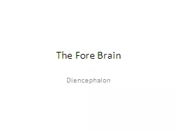 The Fore Brain Diencephalon