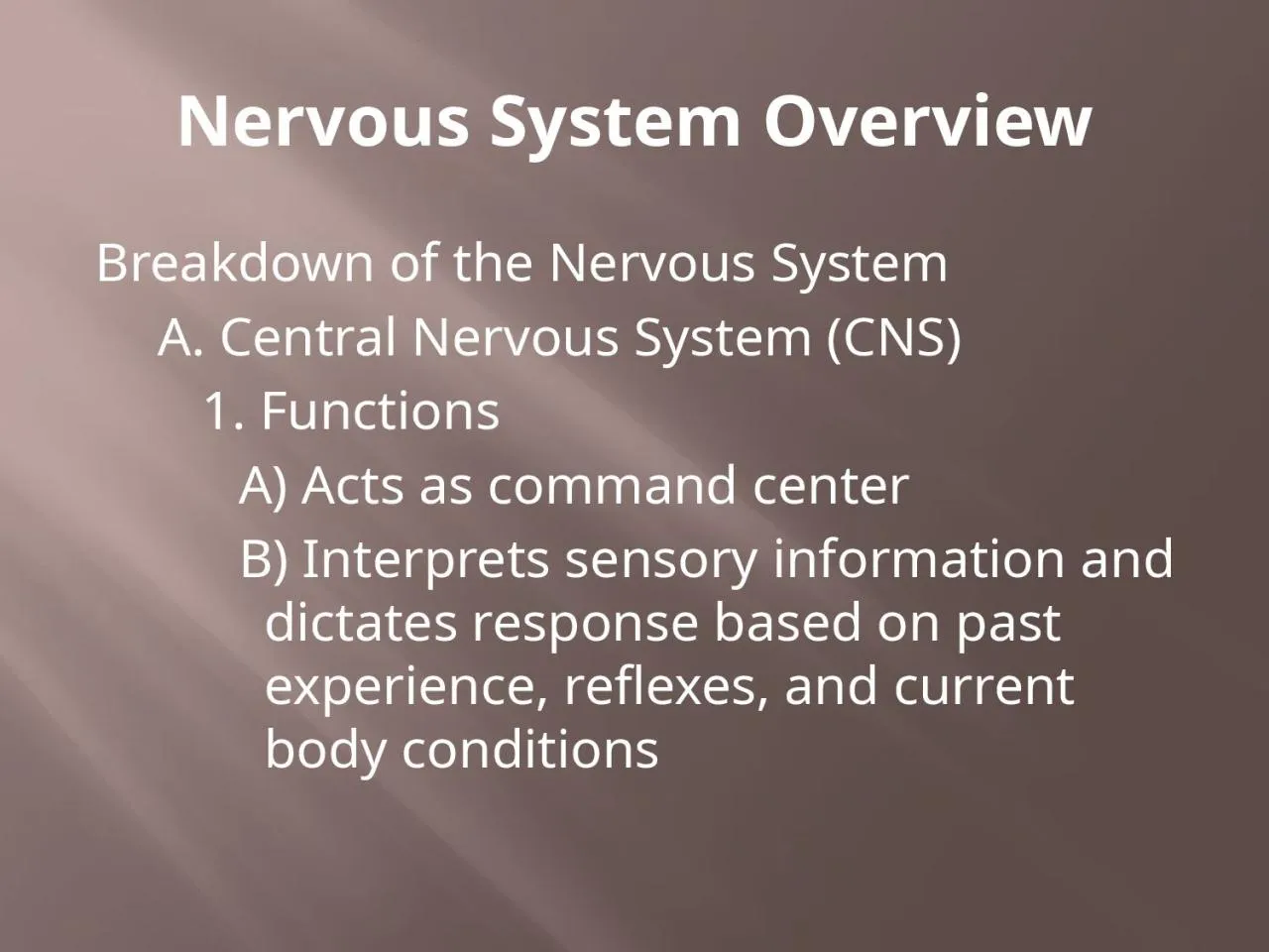 PPT-Nervous System Overview Breakdown of the Nervous System