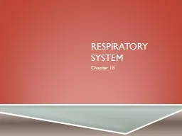Respiratory System Chapter 16