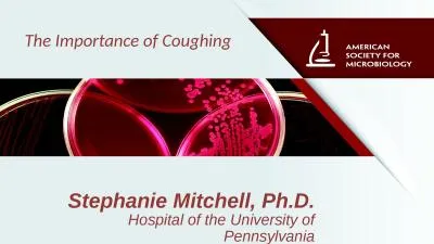 Stephanie  Mitchell, Ph.D.