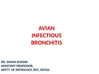 AVIAN INFECTIOUS BRONCHITIS