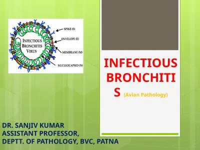 INFECTIOUS BRONCHITIS  (Avian Pathology)