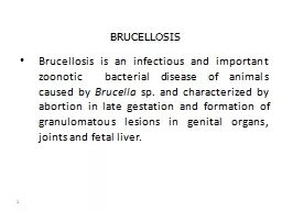 1 Brucellosis is an  infectious and important