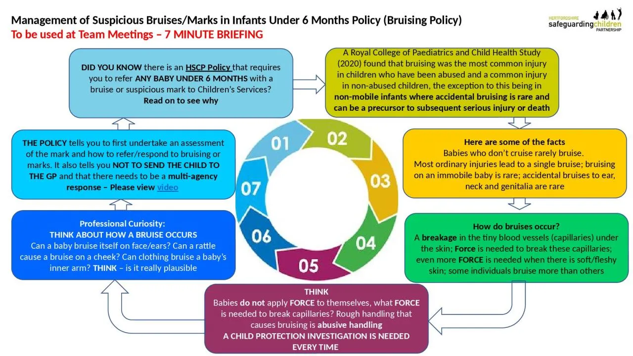 PPT-Bruising Policy – 7 Minute Briefing