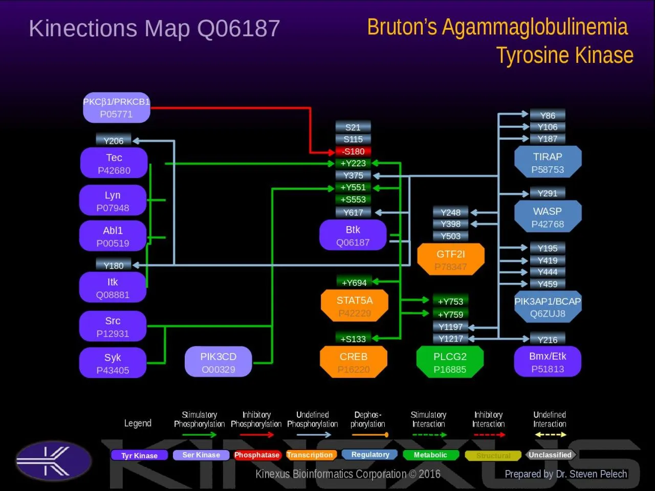 PPT-Btk Q06187 Y617 Bruton’s