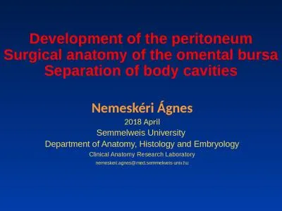 Development  of  the  peritoneum