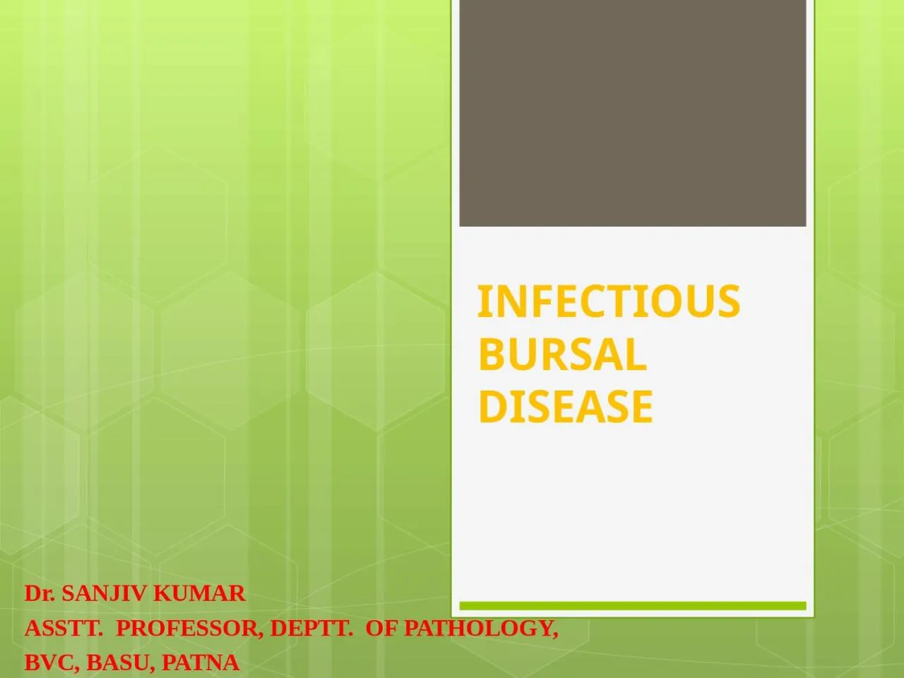 PPT-INFECTIOUS BURSAL DISEASE