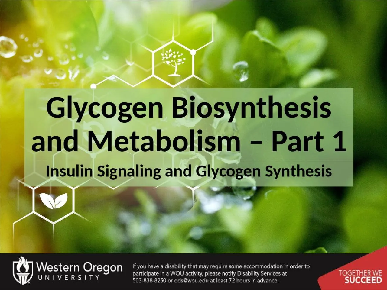 PPT-Glycogen Biosynthesis and Metabolism – Part 1