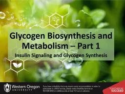 Glycogen Biosynthesis and Metabolism – Part 1
