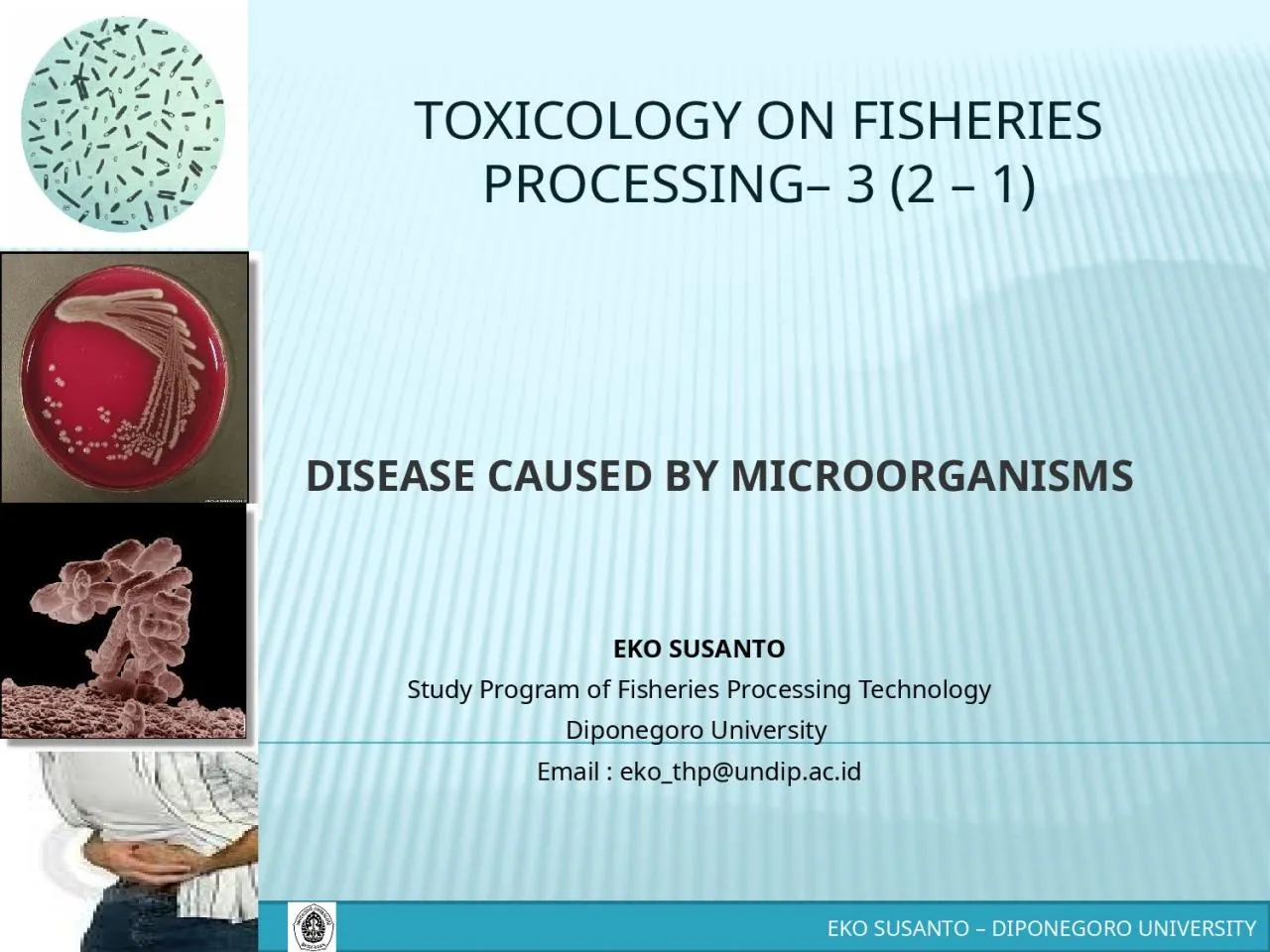 PPT-TOXICOLOGY ON FISHERIES PROCESSING– 3 (2 – 1)