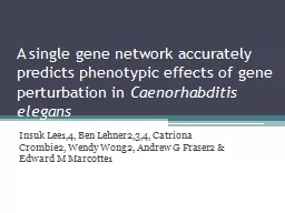 A single gene network accurately predicts phenotypic effects of gene perturbation in