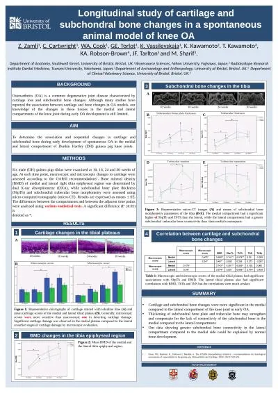 Longitudinal study of cartilage and 		  subchondral bone changes in a spontaneous animal mo