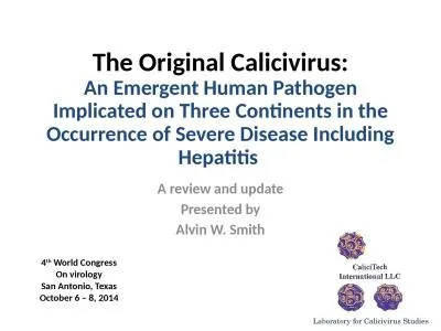 The Original Calicivirus: