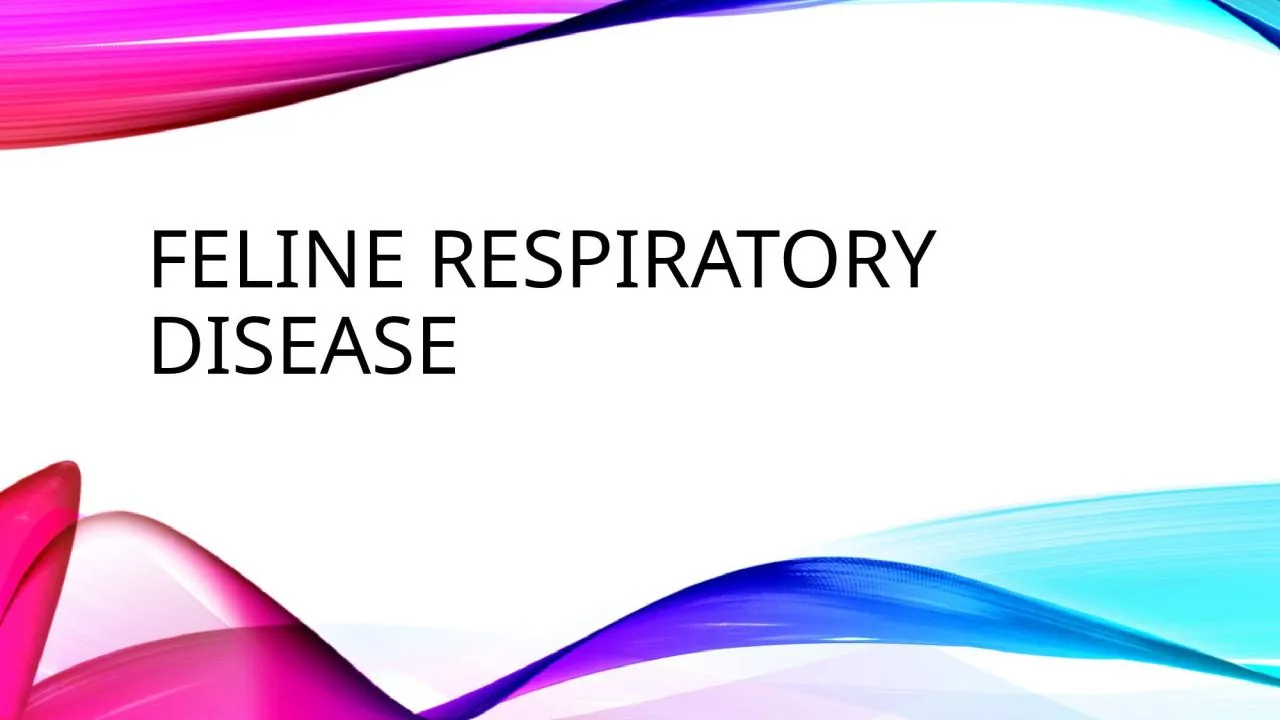 PPT-Feline respiratory disease