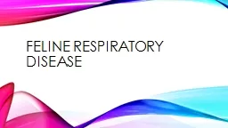 Feline  respiratory    disease