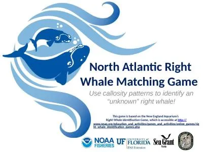 North Atlantic Right Whale Matching Game