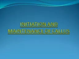 INITIATION AND MAINTENANCE OF CALLUS