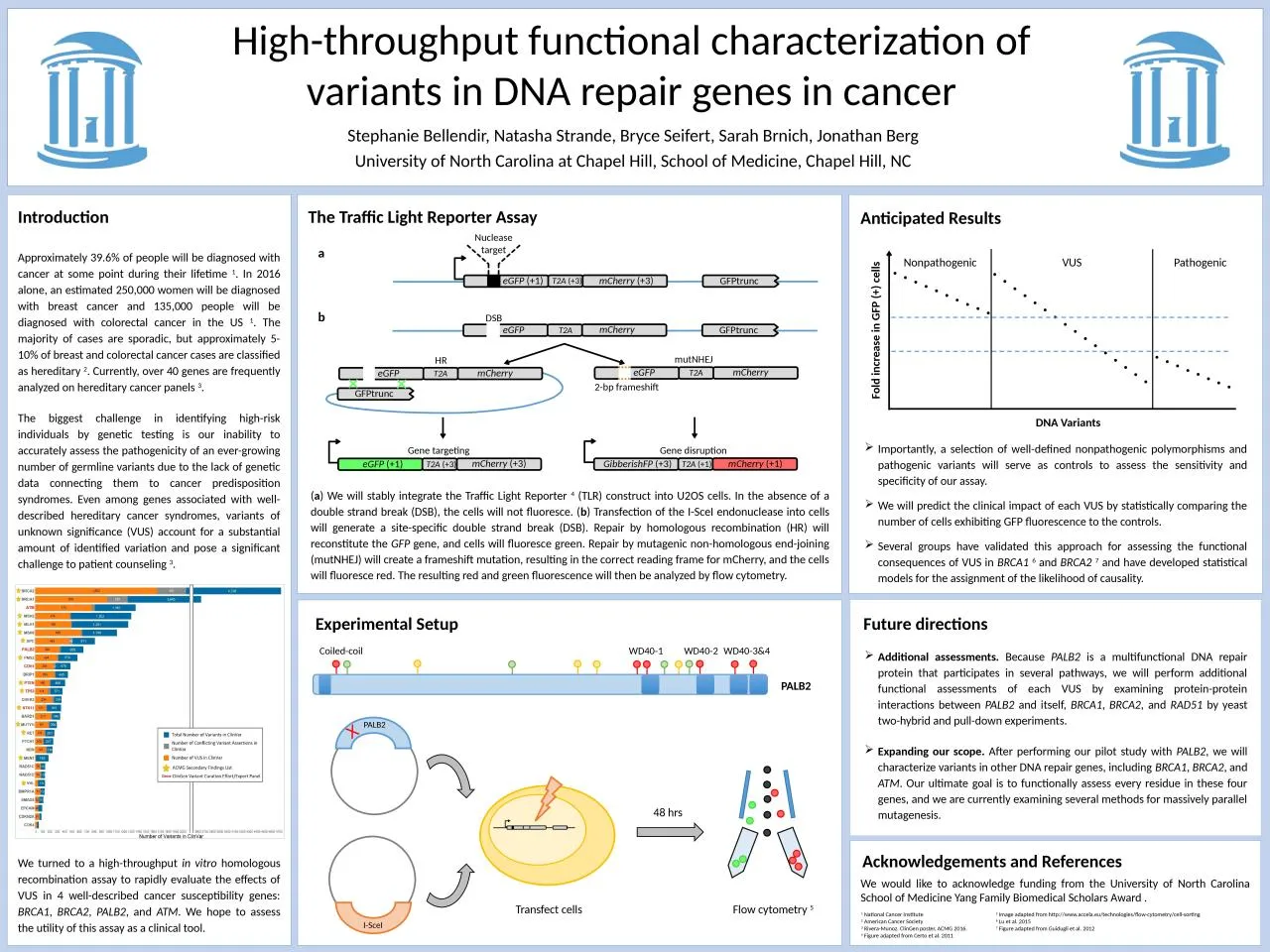 PPT-The Traffic Light Reporter Assay