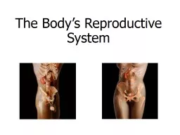 The Body’s Reproductive