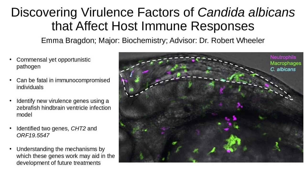 PPT-Discovering Virulence Factors of