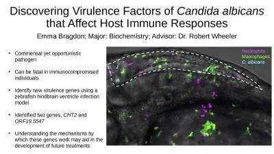 Discovering Virulence Factors of