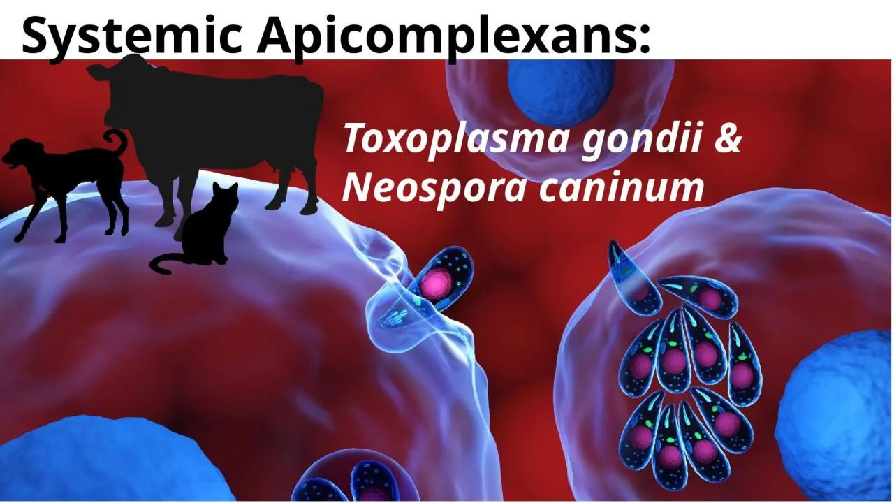 PPT-Toxoplasma gondii & Neospora