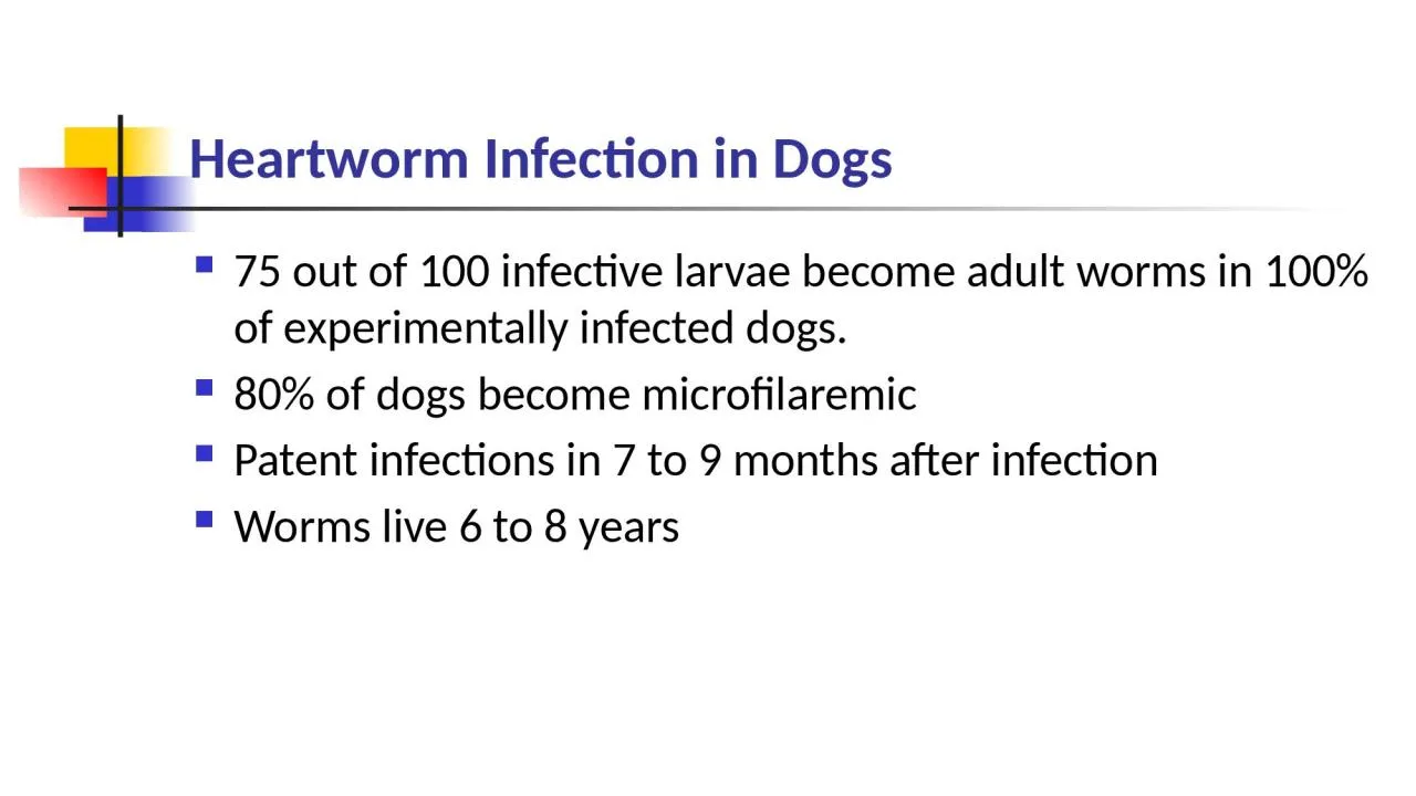 PPT-Heartworm Infection in Dogs