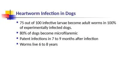 Heartworm Infection in Dogs