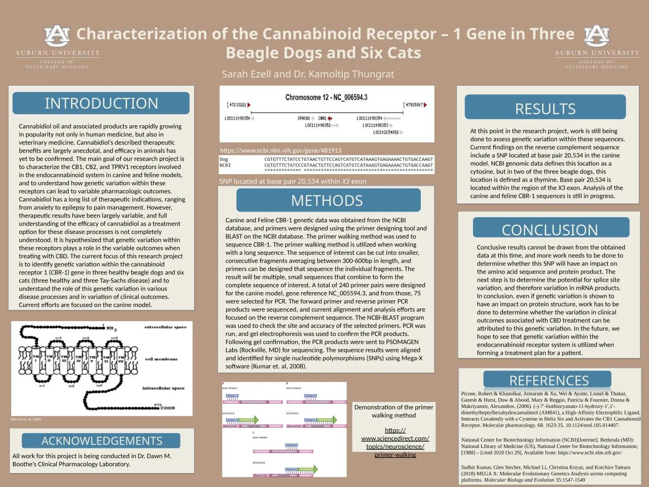 PPT-Characterization of the Cannabinoid Receptor – 1 Gene in Three Beagle Dogs and Six Cats