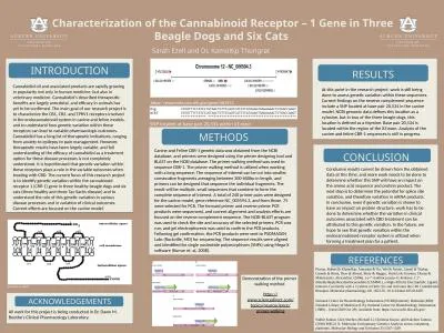 Characterization of the Cannabinoid Receptor – 1 Gene in Three Beagle Dogs and Six Cats