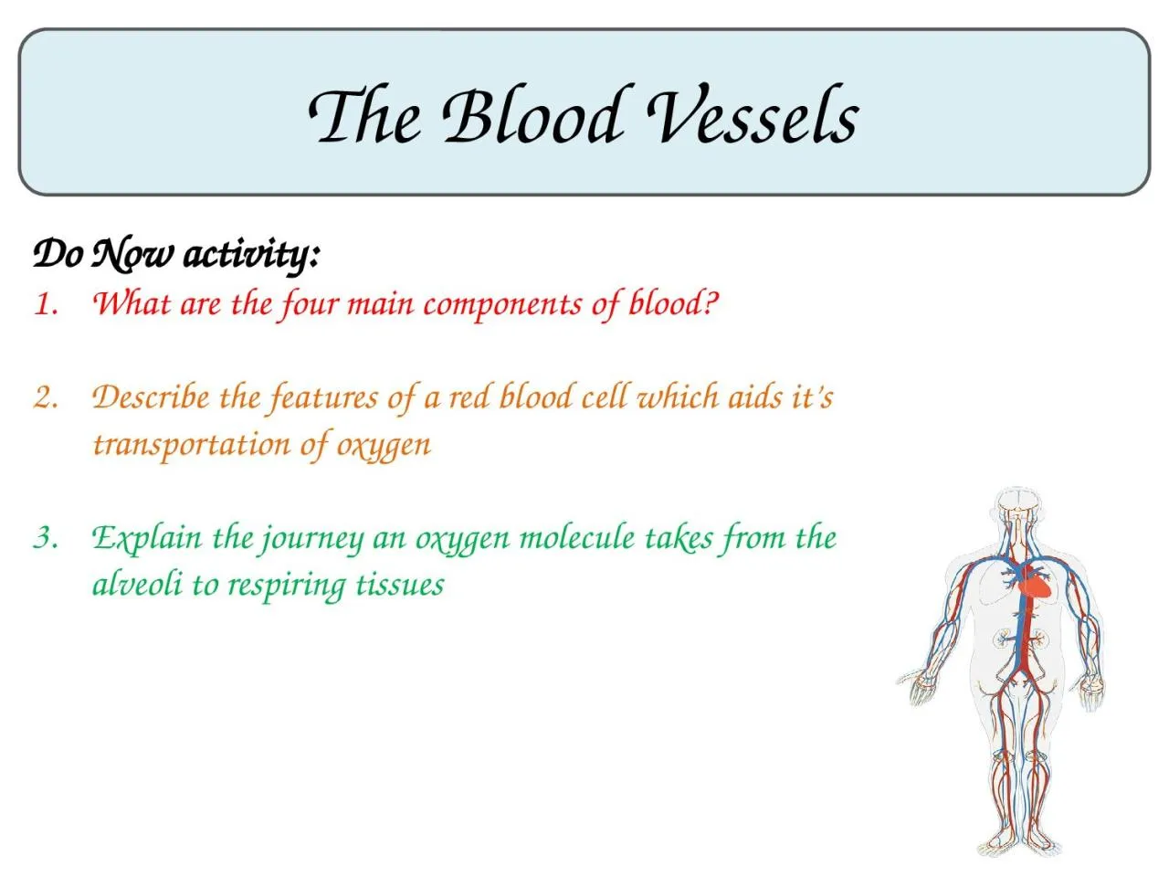 PPT-The Blood Vessels Do Now activity: