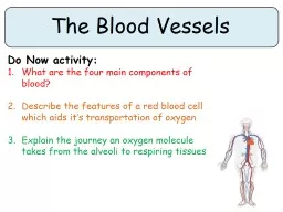 The Blood Vessels Do Now activity: