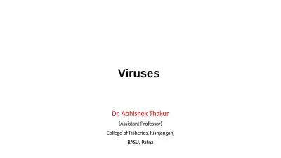 Viruses  Dr. Abhishek Thakur