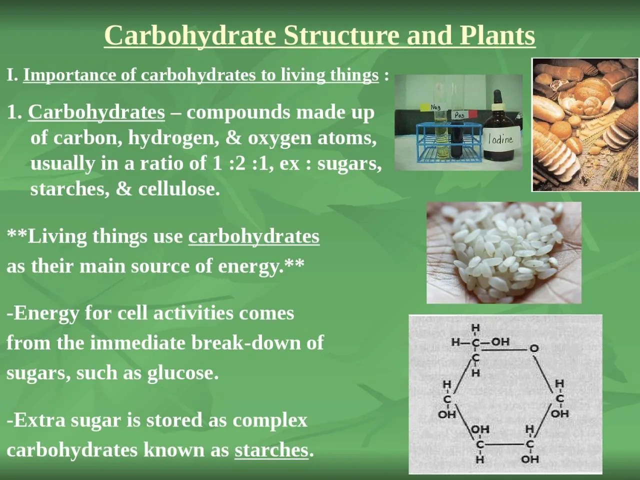 PPT-Carbohydrate Structure and Plants